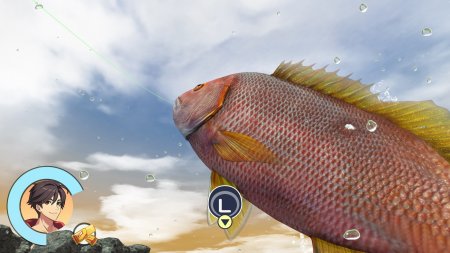 игра Reel Fishing: Days of Summer (Switch) для Nintendo Switch