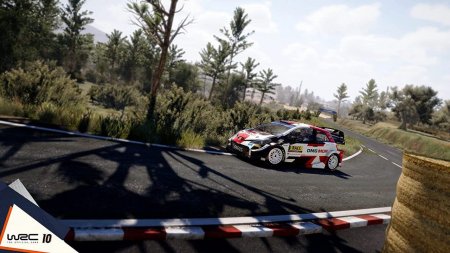 WRC 10: FIA World Rally Championship (PS5)