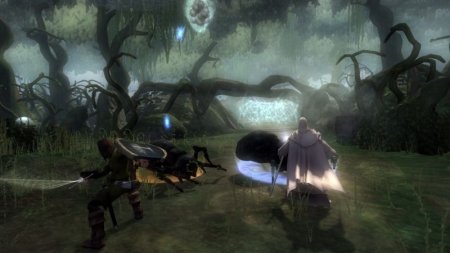 Купить игру The Lord of the Rings: Aragorn's Quest для PlayStation Move (PS3) USED Б/У для Sony Playstation 3