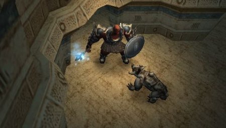  Dungeon Siege: Throne of Agony (PSP) 