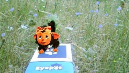  EyePet Приключения (Требуется камера GoCam) Русская Версия (PSP) 