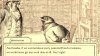 игра Aviary Attorney: Definitive Edition (Switch) для Nintendo Switch