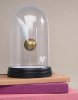  Светильник Paladone: Гарри Поттер (Harry Potter) Колпак освещаемый с золотым снитчем (Bell Jar Light Golden Snitch) 20 см