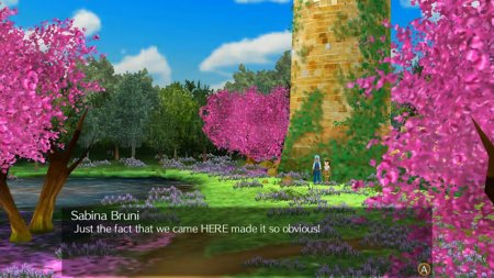 игра World Neverland: Daily Life in the Elnea Kingdom (Switch) для Nintendo Switch