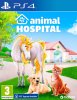 Animal Hospital Русская Версия (PS4/PS5)