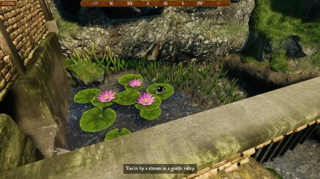 Colossal Cave Русская Версия (Limited Run) (PS5)