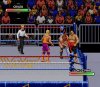 Реслинг Королевская битва (WWF Royal Rumble) (16 bit) 