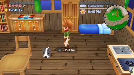 игра Harvest Moon: The Lost Valley and Skytree Village Коллекционное издание (Collector's Edition) (Switch) для Nintendo Switch