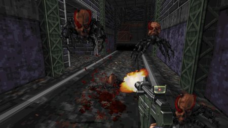игра Ion Fury Double Shot Edition Русская Версия (Switch) для Nintendo Switch