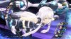 игра The Legend of Heroes: Trails of Cold Steel 3 (III) (Switch) для Nintendo Switch