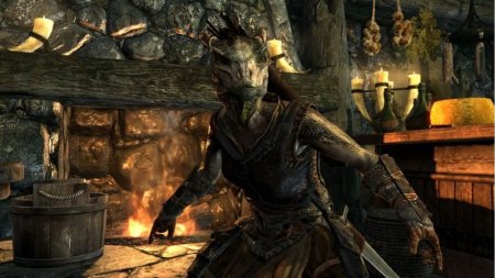 The Elder Scrolls 5 (V): Skyrim с поддержкой kinect (Xbox 360)