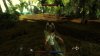 Risen (Xbox 360/Xbox One) USED Б/У