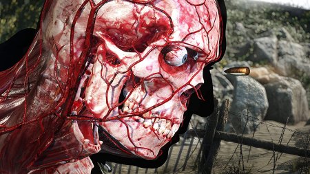 Игра Sniper Elite 5 (V) Русская Версия (PS4/PS5) Playstation 4
