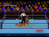 Супер Реслинг Мания (WWF Super Wrestle Mania) Русская Версия (16 bit) 