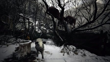 Игра Resident Evil 8 Village Steelbook Edition Русская Версия (PS4/PS5) Playstation 4