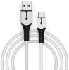 Зарядный кабель для геймпада 2 м USB Type-C (GP5-1619) (PS5/Xbox One/Series X/S/Switch)