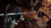 Купить игру Aliens vs Predator (Чужой против Хищника) Русская Версия (PS3) USED Б/У для Sony Playstation 3