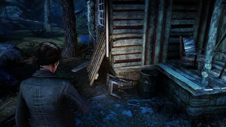 Игра Agatha Christie: Murder on the Orient Express (Агата Кристи: Убийство в Восточном экспрессе) Русская Версия (PS4/PS5) Playstation 4