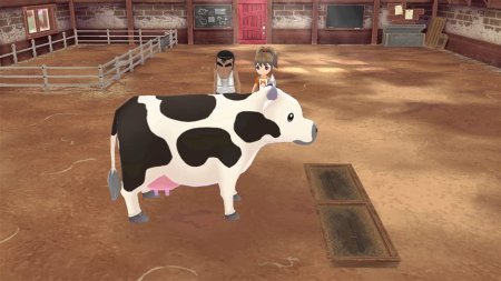игра Story of Seasons: A Wonderful Life (Switch) для Nintendo Switch