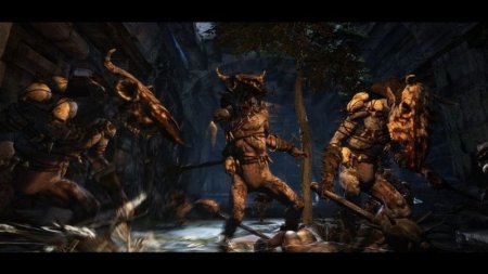 Игра Dragon's Dogma: Dark Arisen (PS4) Playstation 4