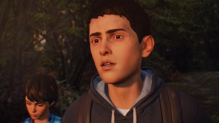 Игра Life is Strange 2 Русская Версия (PS4) Playstation 4