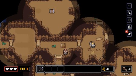 игра Dungeons of Aether (Limited Run #200) (Switch) для Nintendo Switch