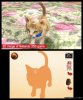 Купить игру Nintendogs + Cats: Французский бульдог и новые друзья. Русская Версия (Nintendo 3DS) на 3DS