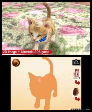 Купить игру Nintendogs + Cats: Французский бульдог и новые друзья. Русская Версия (Nintendo 3DS) на 3DS