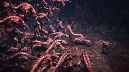 DmC Devil May Cry: 5 (V) Special Edition Русская Версия (PS5)