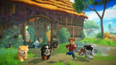 игра Everdream Valley (Switch) для Nintendo Switch