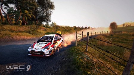 WRC 9: FIA World Rally Championship (PS5)