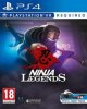 Ninja Legends (Только для PS VR) (PS4)