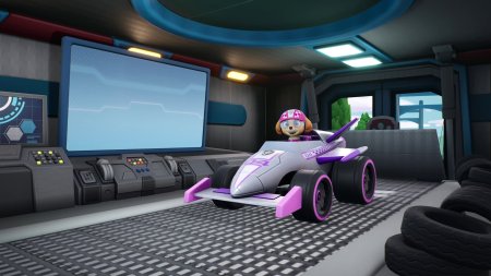 игра PAW Patrol: Grand Prix (Switch) для Nintendo Switch
