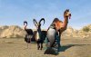 игра Goat Simulator: The Goaty Русская Версия (Switch) для Nintendo Switch