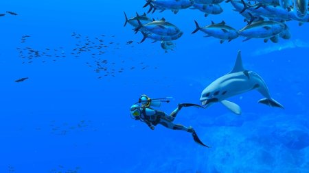 игра Endless Ocean Luminous (Switch) для Nintendo Switch