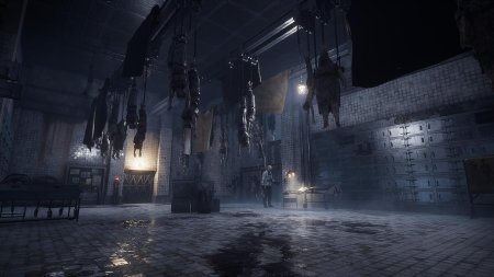 Lies of P Полное Издание (Complete Edition) Русская Версия (Switch 2)