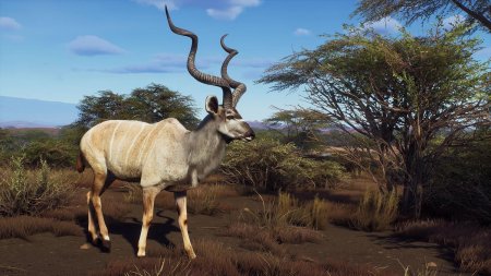 Way of the Hunter: Wild Expeditions Русская Версия (PS5)