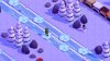 Winter Games Collection + Advent Calendar (PS5)