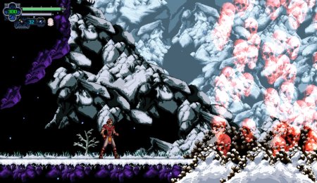 Chronicles of the Wolf (PS5)