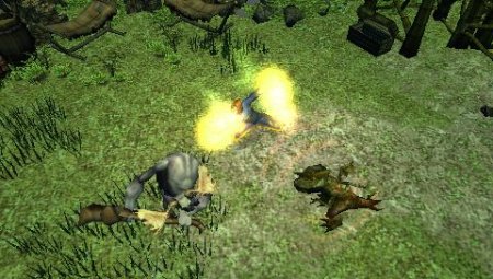  Dungeon Siege: Throne of Agony (PSP) 