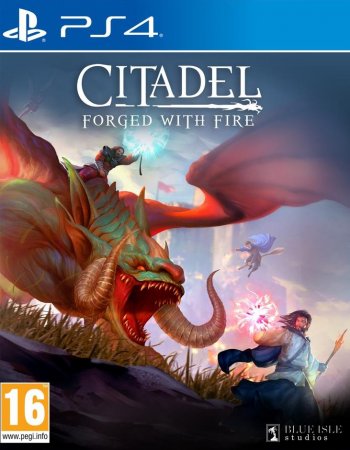  Citadel: Forget With Fire (PS4) Playstation 4