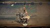 Игра The Quest for Excalibur: Puy Du Fou (PS4) Playstation 4