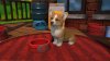 игра Little Friends: Puppy Island Русская Версия (Switch) для Nintendo Switch