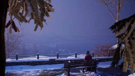 игра Life is Strange: Double Exposure Русская Версия (Switch) для Nintendo Switch