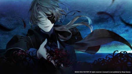 игра Virche Evermore -ErroR: Salvation- (Switch) для Nintendo Switch
