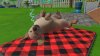 игра Little Friends: Puppy Island Русская Версия (Switch) для Nintendo Switch