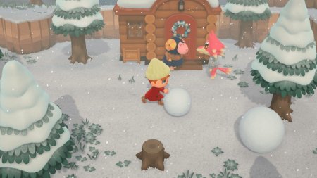 Animal Crossing: New Horizons Русская Версия (Switch 2)