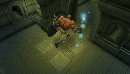  Dungeon Siege: Throne of Agony (PSP) 