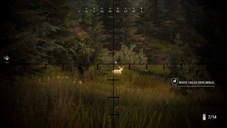 Игра Hunting Simulator 2 Русская Версия (PS4) Playstation 4
