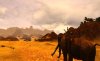 Age of Conan: Hyborian Adventures Русская Версия Jewel (PC) 